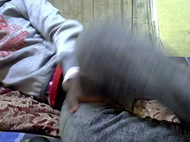 Black-beauty's avatar