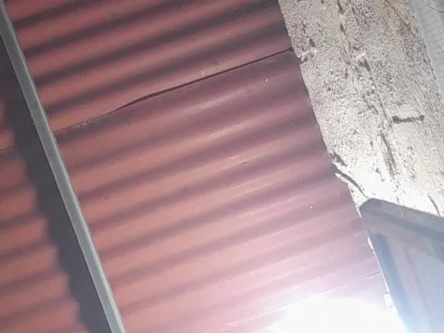 chizuqui-25's avatar