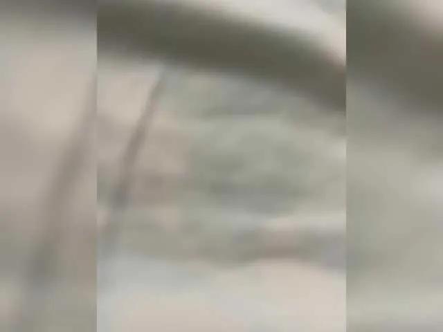 BongaCams Essss33331 is Freechat Essss33331 — Generous men????