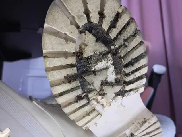 fairyxblair's avatar