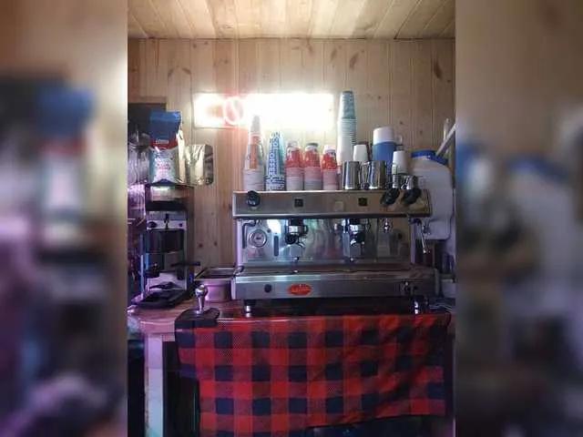 Katriona — Intelligence,sexy bodies