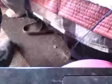 starskihutchee690568's avatar