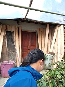 Freechat diamond-- on StripChat