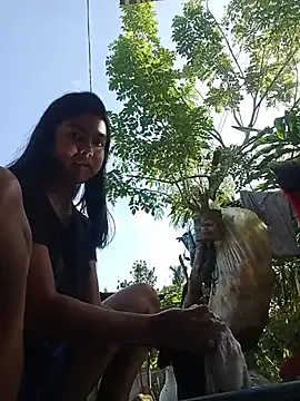 Heavens_night04 model from sc