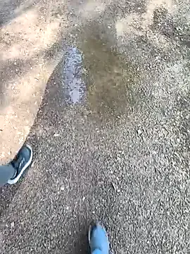 Klandestinxx's avatar