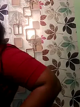 Tamil-Butterfly model from sc