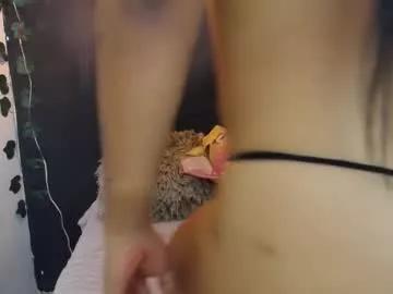 adaracute from Chaturbate is Freechat