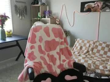 quervoqueen1 from Chaturbate is Freechat