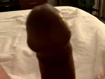 rockinhardd4u from Chaturbate is Freechat