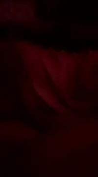 Kooky beauty: discover our turned on strippers as they undress to their adored melodies and slowly orgasm for pleasure to appease your kookiest wishes.