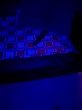 Kooky beauty: discover our turned on strippers as they undress to their adored melodies and slowly orgasm for pleasure to appease your kookiest wishes.